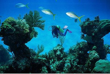 真功夫，也要真够帅！登录《赦免者》领限定服装